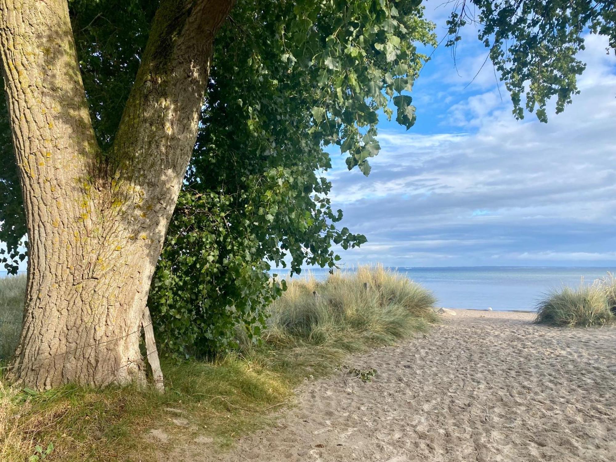 Вілла Feriendorf Suedstrand Haus 22 Пельцеракен Екстер'єр фото